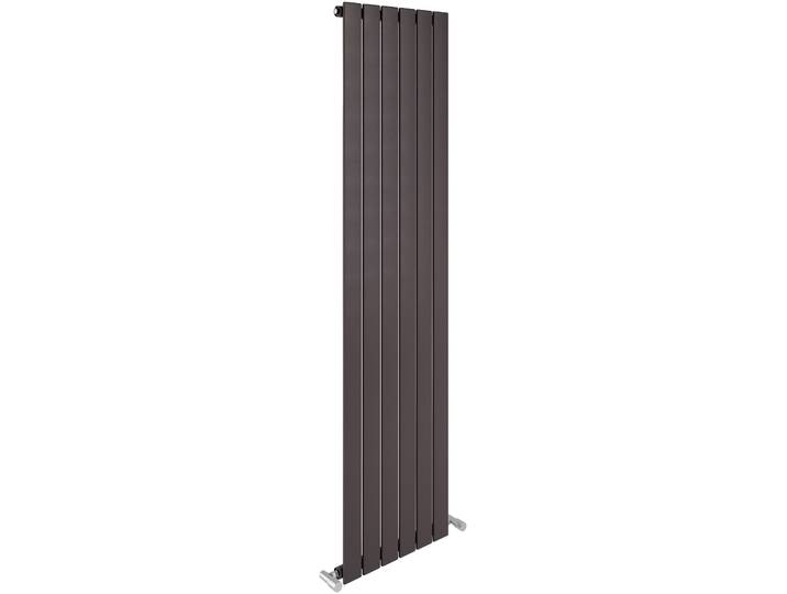 Designheizkörper SANOTECHNIK Eisenstadt , grau (anthrazit), B:45,9cm H:180cm, Stahl, Heizkörper, Designheizkörper, Seitenanschluss, Stahlflachröhren 70x11mm, Flachheizkörper