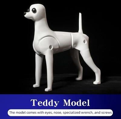 Uplift Essentials Teddy Grooming Practice Model High Fidelity Simulation Hair, Skeleton & Standard Head For Pet Beauticians teddy Model