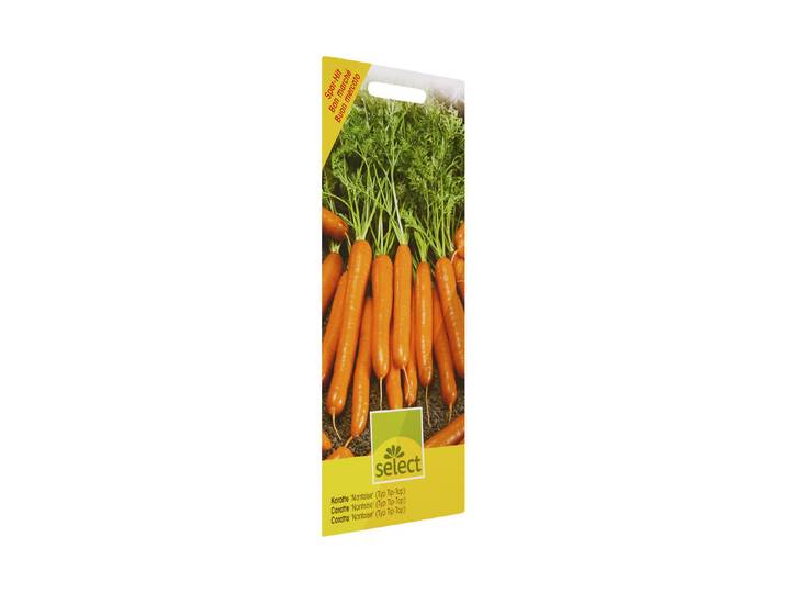 Select Karotte Nantaise Typ Tip-Top
