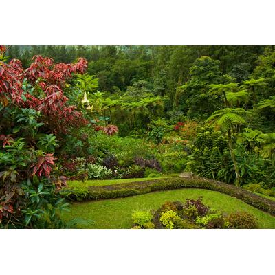 Fototapete PAPERMOON "GARTEN-BLUMEN BÄUME PFLANZEN PARK STEINE BLÜTEN WALD", bunt, B:4m L:2,6m, Vlies, Tapeten