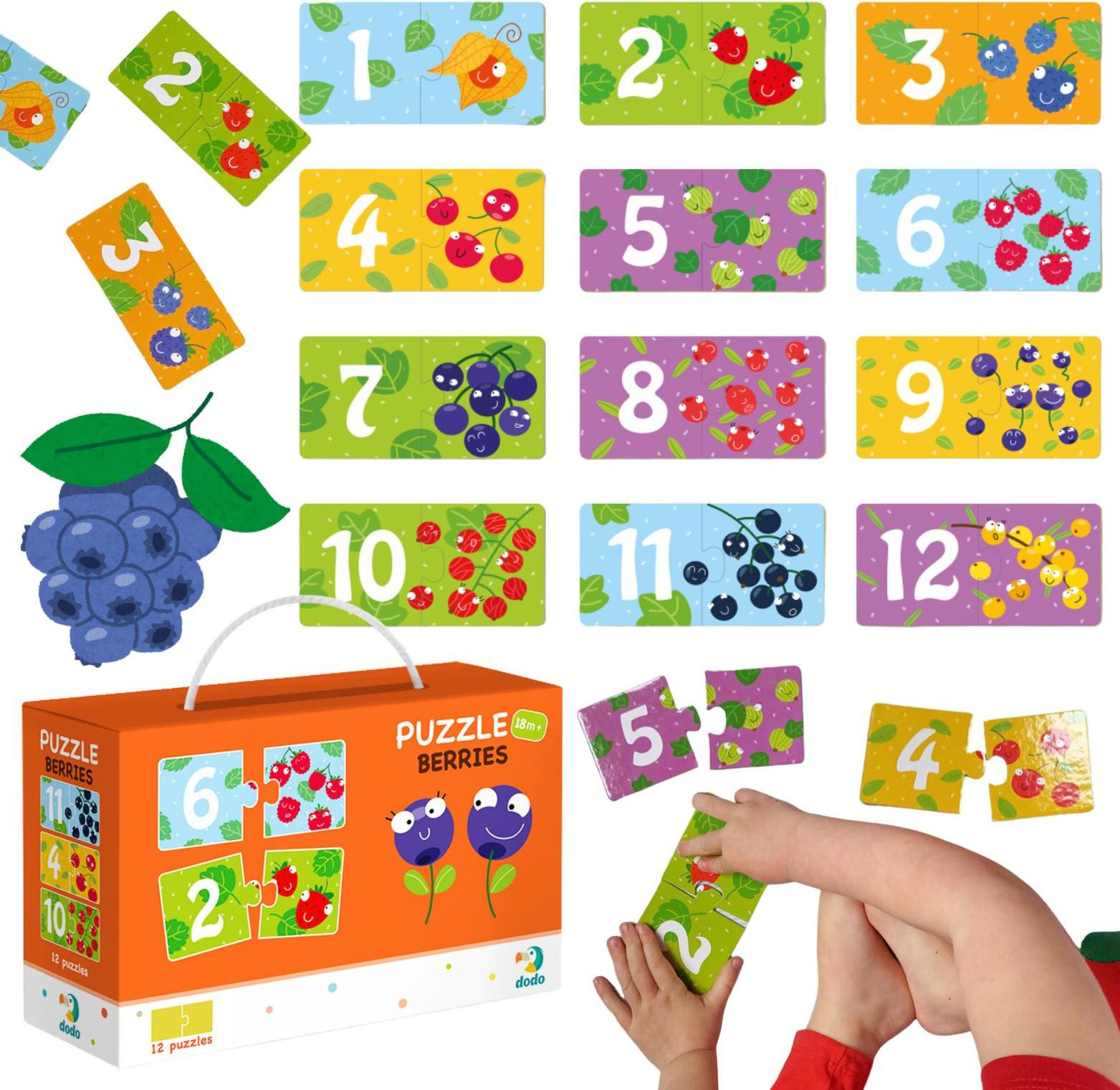 DoDo Puzzle-set Obst voor kinderen om tellen te leren, 12 puzzels