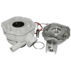 Airsal Peugeot 50 Speedfight Lc Nikasil