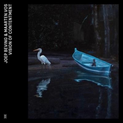 Vision Of Contentment (Limited) - Maarten Joep & Vos Beving, Vinyl