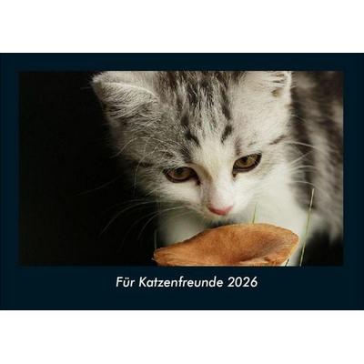 Für Katzenfreunde 2026 Fotokalender DIN A4