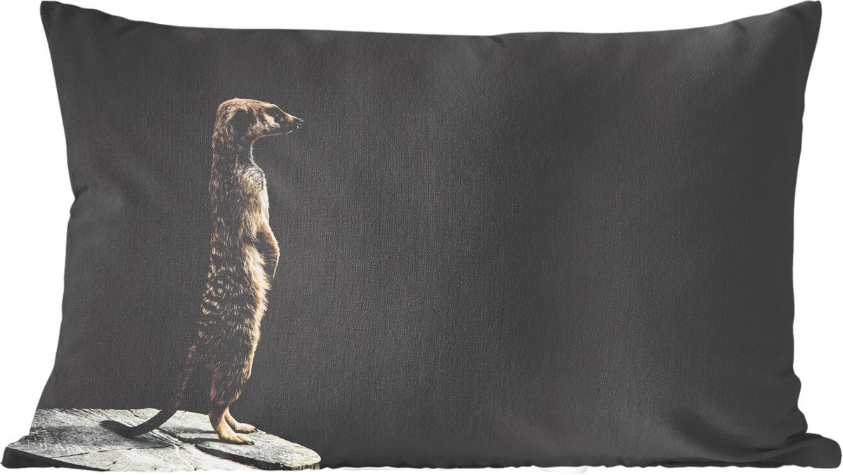 Katoenen sierkussen met stokstaartje op zwarte achtergrond, 50 x 30 cm