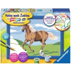 Ravensburger Stute Carla