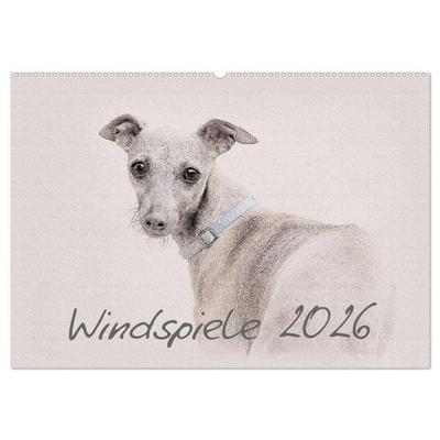 Windspiele 2026 (Wandkalender 2026 DIN A2 quer), CALVENDO Monatskalender