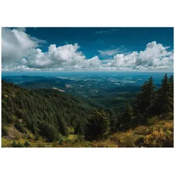 FOTOTAPETE Landschaft Wald Blau 400x280 cm
