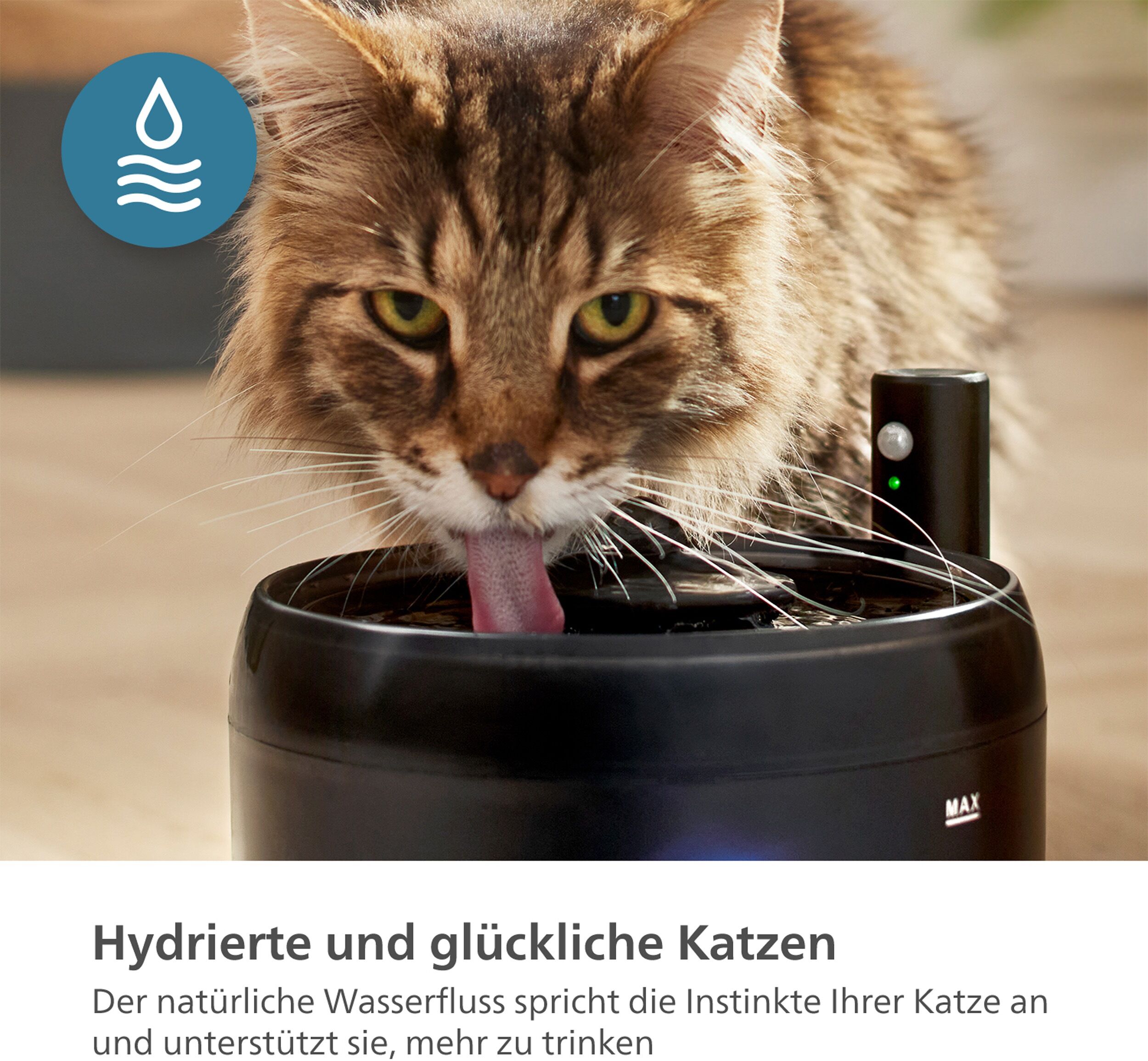 Trinkbrunnen PHILIPS "PAW3210/02 Pet Series, 2,2l, für Katzen und kleine Hunde geeignet", schwarz, B:18,3cm H:19,1cm T:21,4cm, Kunststoff, Haustiertränken, Trinkbrunnen, mit Nachfüllüberwachung, 4-schichtigem Filtersystem, flüsterleise schwarz Einheitsgrö
