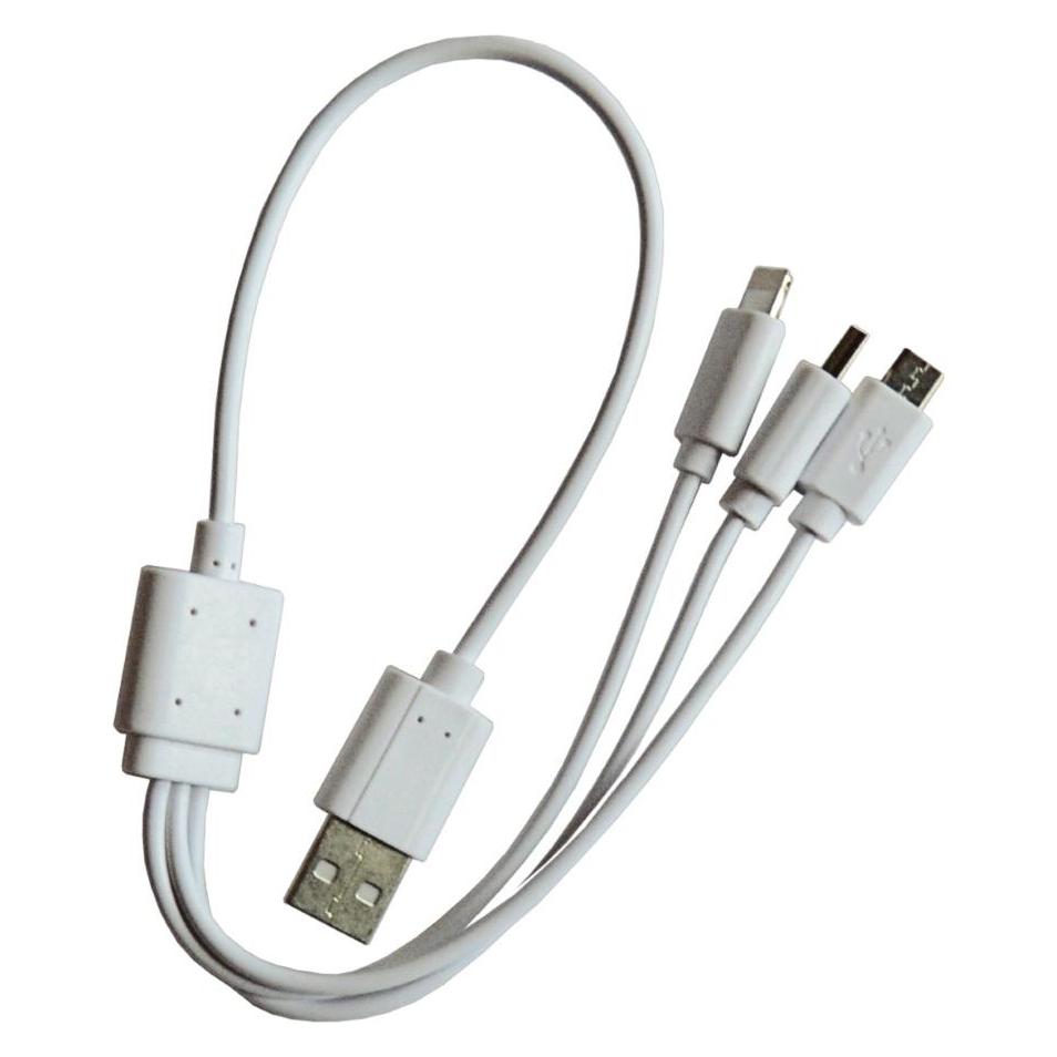 Deca Notstarter und Power Bank FAST 300 (500 A, 1800 mAh) (381300)