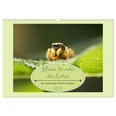 Die faszinierende Welt der Insekten (Wandkalender 2027 DIN A3 quer), CALVENDO Monatskalender