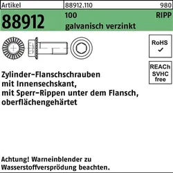 Zylinderflanschschraube R 88912 Sperr-Ripp Innen-6kt M6x16 100 galv.verz. 500St.