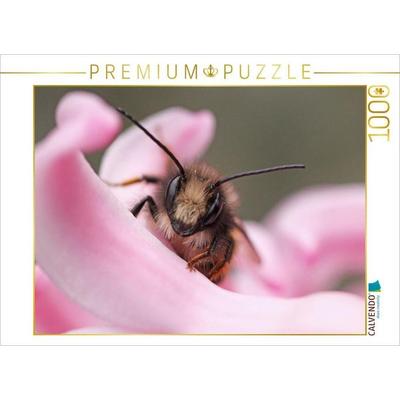 CALVENDO Puzzle Insekten Kleine Wunder 1000 Teile Lege-Größe 640 x 480 cm Foto-Puzzle Bild von Christine Wirges