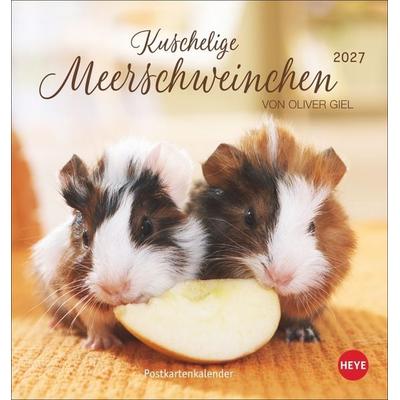 Kuschelige Meerschweinchen Postkartenkalender 2027