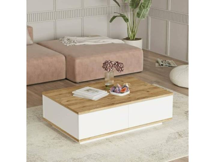 Dmora Couchtisch Marfik 90x60x28,6 cm Braun, 2 Fächer