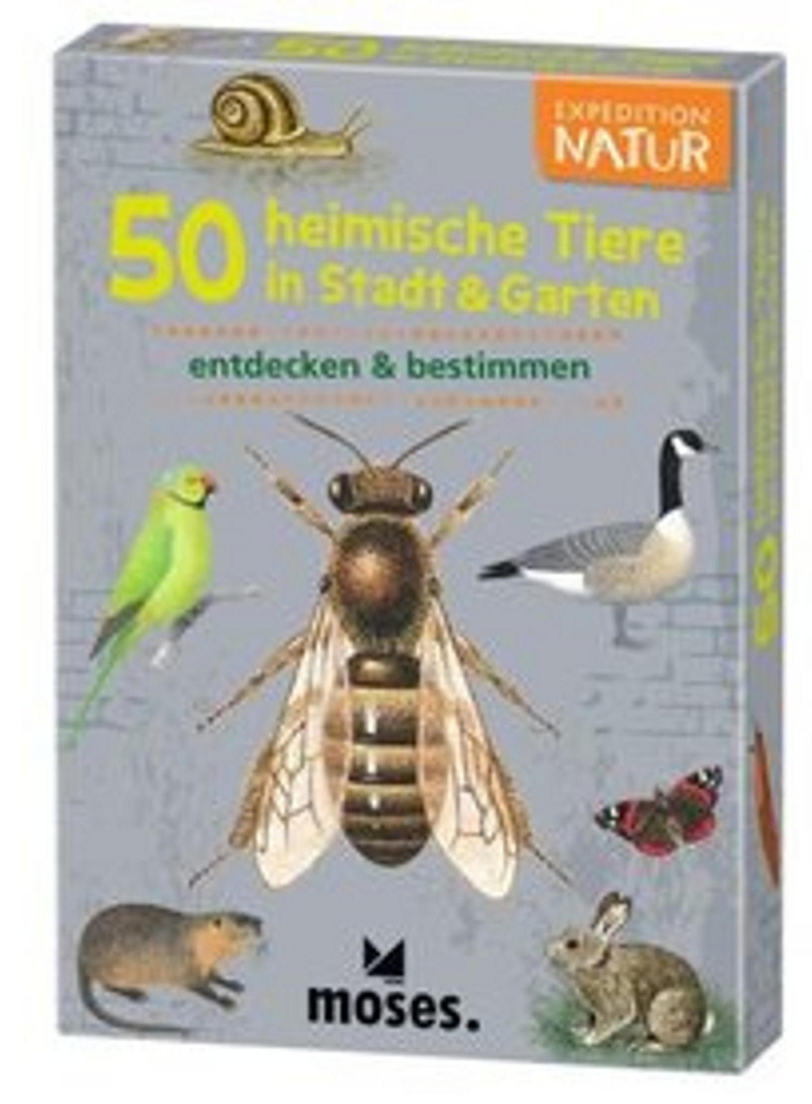 Educatief boek Duits ISBN 4033477097781 van Sonstige Verlage