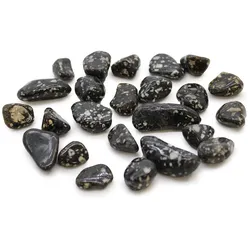Bag of 24 Small African Tumble Stones - Guinea Fowl
