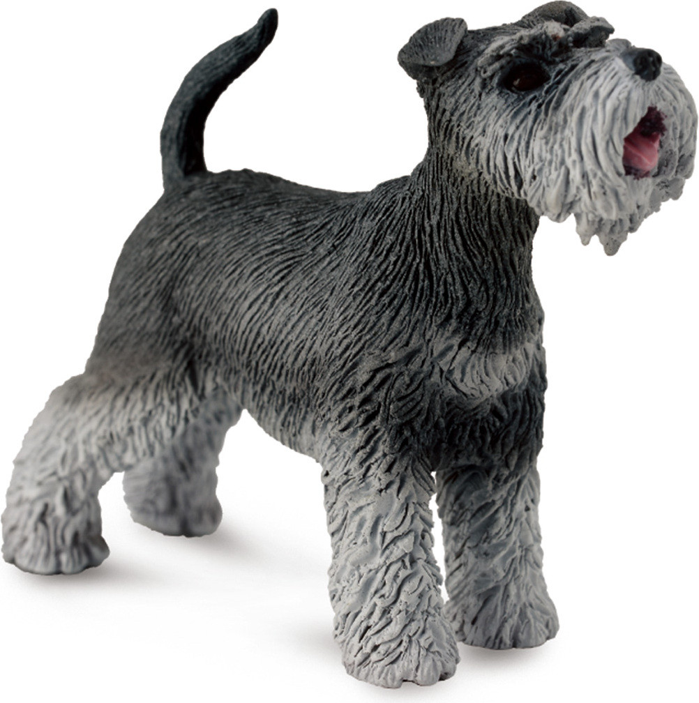 Collecta Knírač