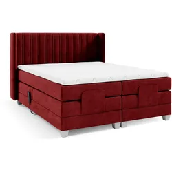 BOXSPRINGBETT Bett Elektrisch Magnus