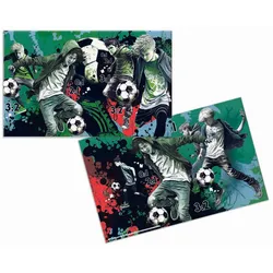 HERMA Schreibtischunterlagen 55,0 x 35,0 cm Street Soccer