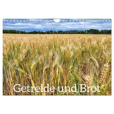 Getreide und Brot (Wandkalender 2026 DIN A4 quer), CALVENDO Monatskalender