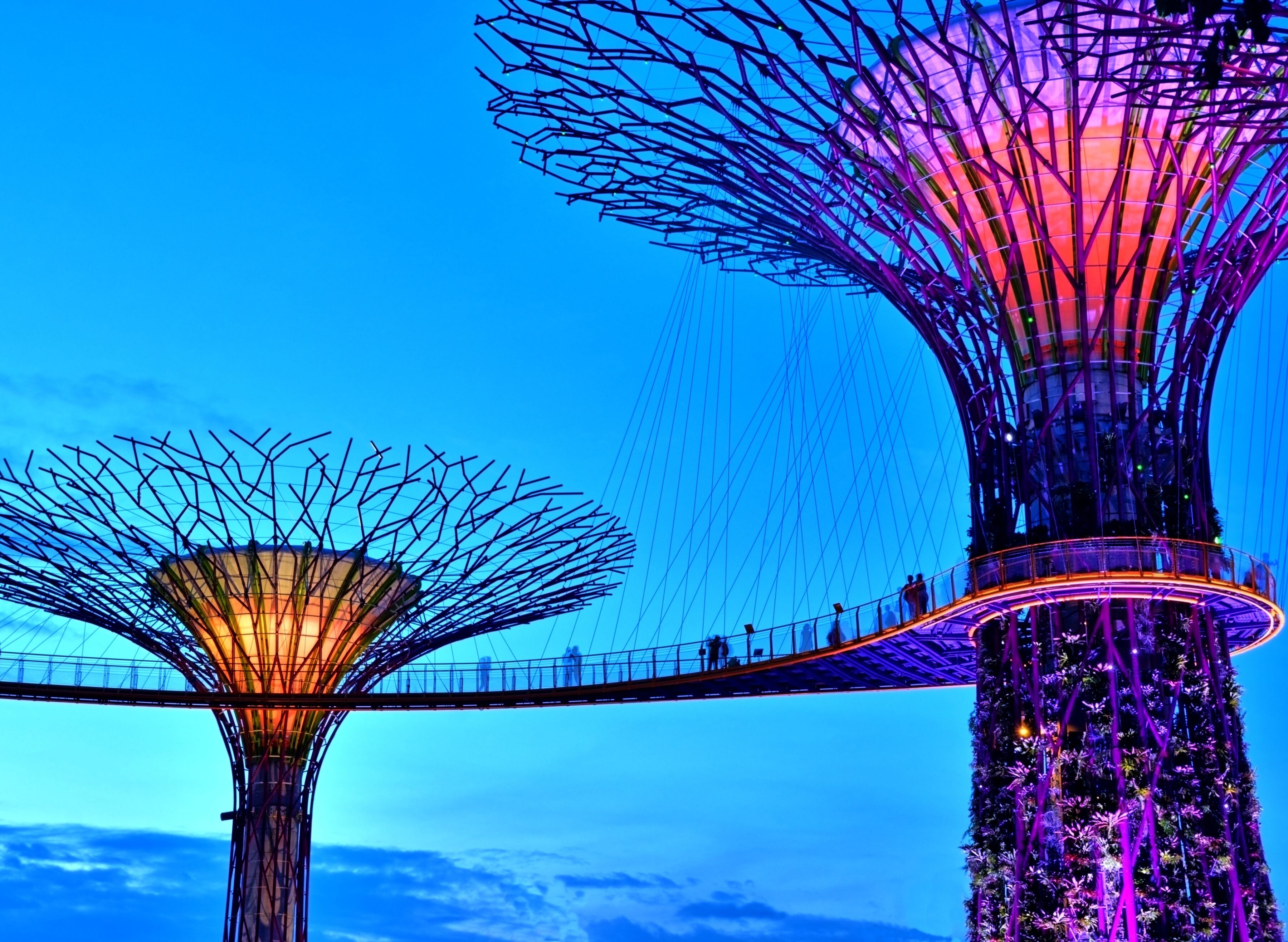 Fototapete PAPERMOON "Singapore Bay Supertrees", bunt, B:2m L:1,49m, Vlies, Tapeten, Fototapete bunt B/L: 2m x 1,49m, Bahnen: 4 Stk.