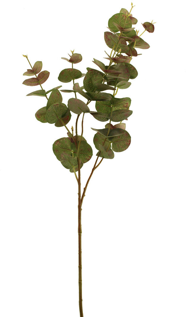 The Seasonal Aisle Eucalyptus Arrangement Green 100cm H X 20cm W X 20cm D