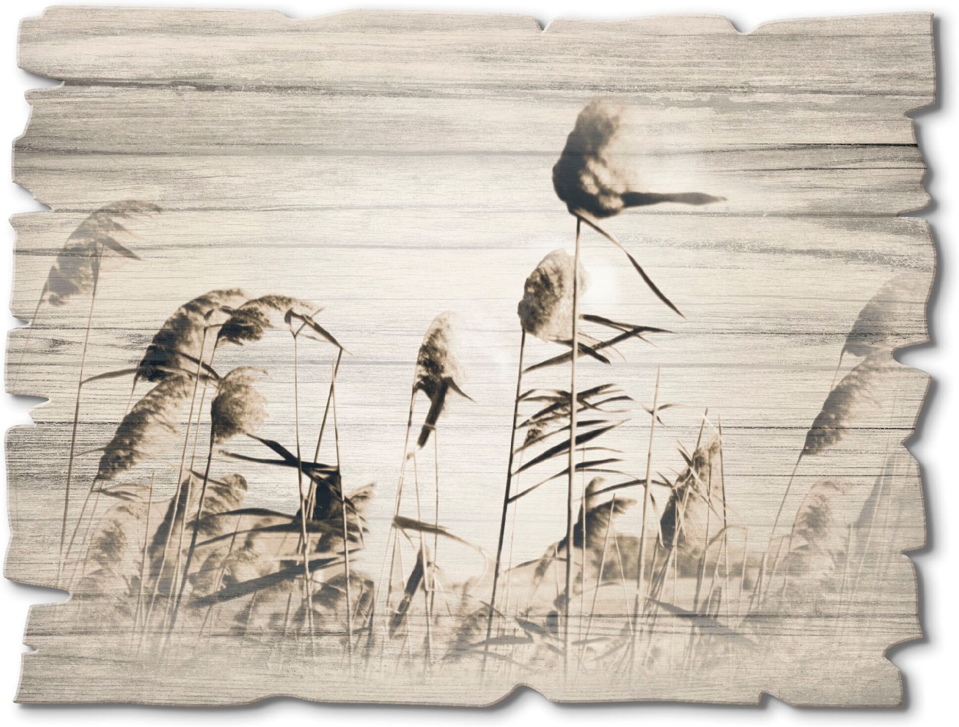 Holzbild ARTLAND "Gräser", beige (farbe bild(er): natur), B:40cm H:30cm, Bilder, Holzbild farbe bild(er): natur B/H/T: 40cm x 30cm, Holzbild Gräser Querformat, 1 Stk.