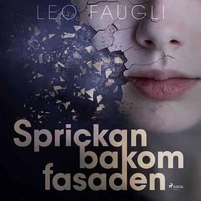 Sprickan bakom fasaden - Leo Faugli, Audio, 9788711932568