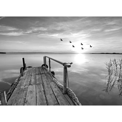 Fototapete PAPERMOON "Steg am Wasser Schwarz & Weiß", schwarz (schwarz, weiß), B:4,5m L:2,8m, Vlies, Tapeten