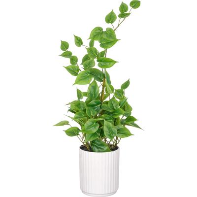 Künstliche Zimmerpflanze CREATIV GREEN "Philodendron hederaceum", grün, H:60cm, Obermaterial: 100% Kunststoff, Kunstpflanzen, Künstliche Zimmerpflanze, im Design-Topf