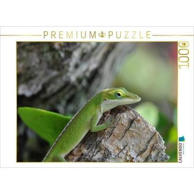 CALVENDO Puzzle Rotkehlanolis, Big Island, Hawaii | 1000 Teile Lege-Größe 64x48cm Foto-Puzzle für glückliche Stunden