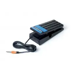 Schalter und Volumenpedal