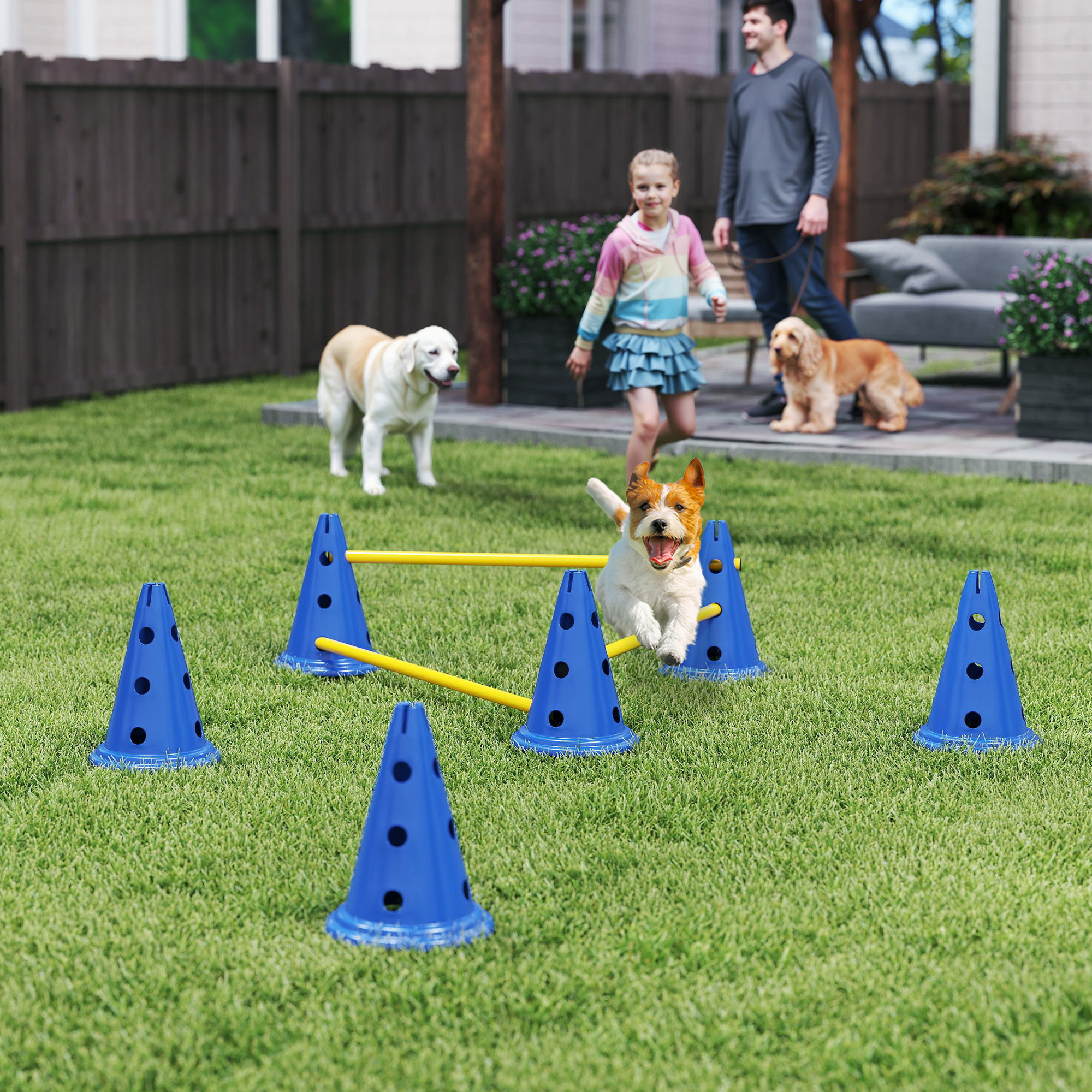 Pawhut Set 3 Pezzi Agility per Cani, Attrezzatura per Addestramento Cani, Set Ostacoli a Innesto con 6 Coni, 3 Ostacoli e Borsa, Blu e Giallo   Aosom Italy
