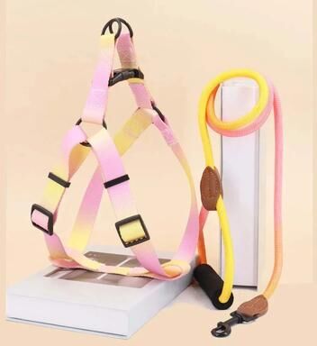 Inspired Living Soft Adjustable Small Dog Harness And Leash Set pink yellow m