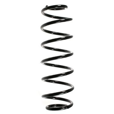 SPIDAN Fahrwerksfeder 55236 Hinterachse für Fiat