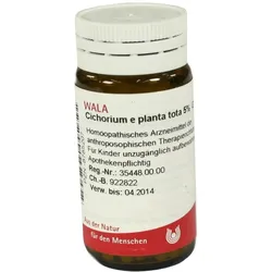 Cichorium E Planta tota 5% Globuli 20 g
