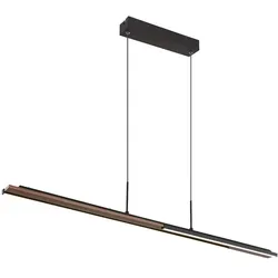 Hängelampe Hängeleuchte Pendelleuchte Pendellampe Metall schwarz matt opal LED