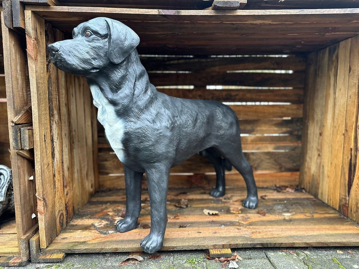 Goodyz Labrador Hondenbeeld Zwart Hoogte: 75 cm