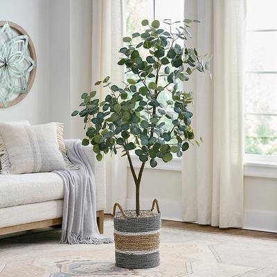 Eco Convert Eucalyptus Tree - Grandin Road