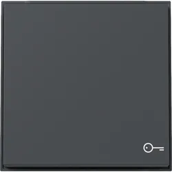 Gira Wippe Symb. Tür 328767