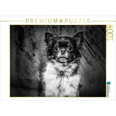 CALVENDO Puzzle Chihuahua | 1000 Teile Lege-Größe 64x48cm Foto-Puzzle für glückliche Stunden