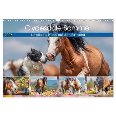 Clydesdale Sommer. Schottische Pferde auf dem Farmland (Wandkalender 2027 DIN A3 quer), CALVENDO Monatskalender