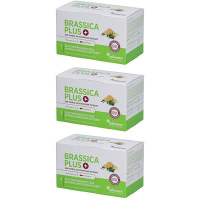 Brassica Plus Kapseln x3 3x90 St