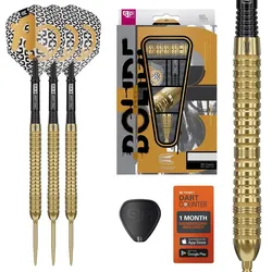 Target Bolide Envy 04 Swiss Points Steeldarts