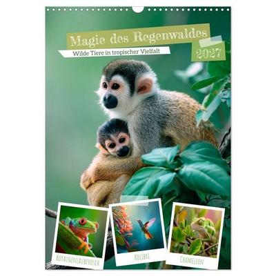 Magie des Regenwaldes - Wilde Tiere in tropischer Vielfalt (Wandkalender 2027 DIN A3 hoch), CALVENDO Monatskalender