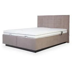 Polsterbett Elastoform OPHIR