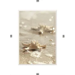 Bilderhalter CLIP 13x18 cm (BH 13x18 cm) - BH 13x18 cm