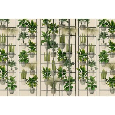 Fototapete LIVING WALLS "Walls by Patel Plant Shop", grün (grün, beige), B:4m L:2,7m, Vlies, Tapeten, Vlies, Wand