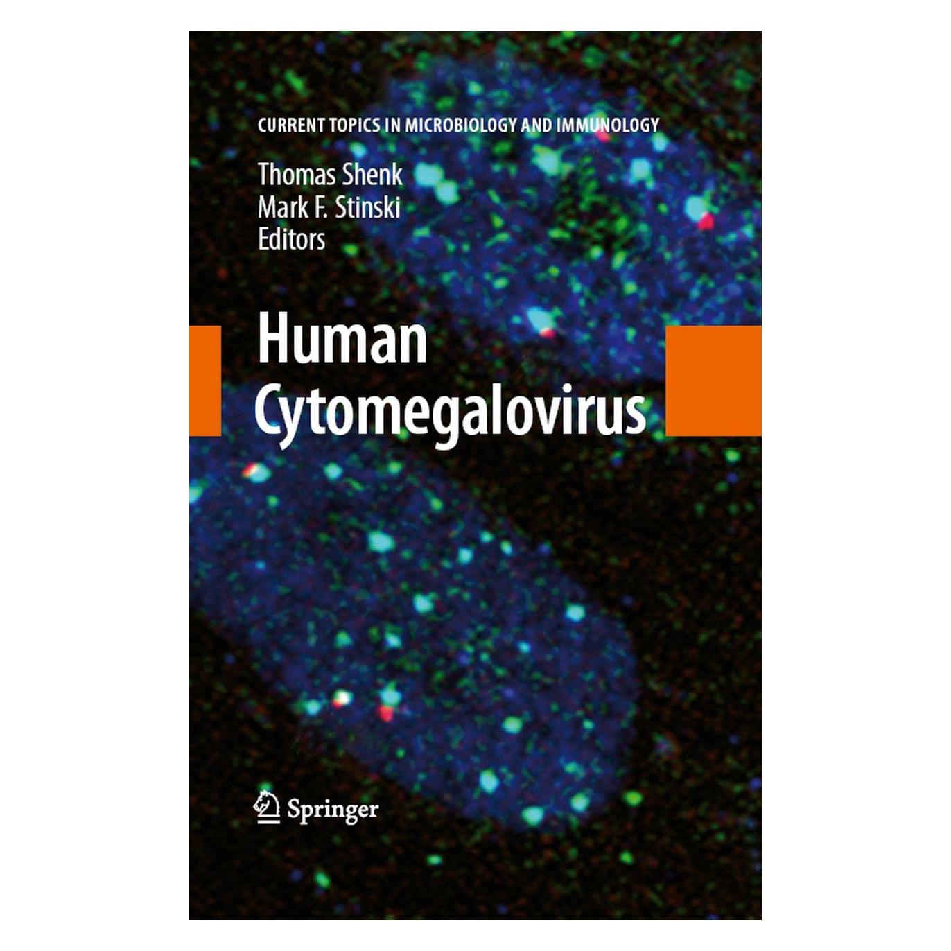 Springer Human Cytomegalovirus (Englisch, Hardcover, Mark F. Stinski, Thomas E. Shenk) (9783540773481)